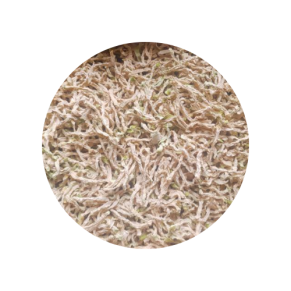 Dried Radish (Mumallengie)